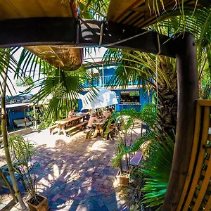 Cool Bananas Backpackers Hostel Agnes Water